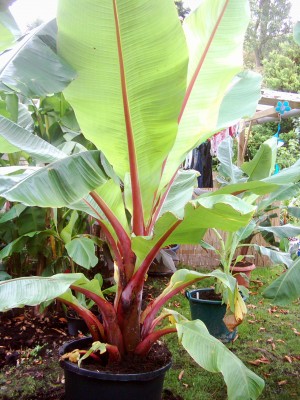 Bilder vom 09.10.07 010.jpg