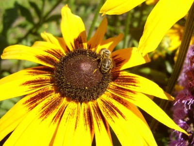 DSCI0137 - Kopie.JPG