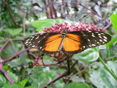 DSCN05390001.JPG