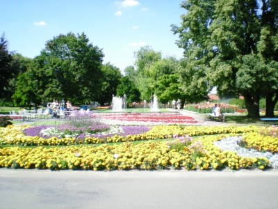 DSCN04830001.JPG