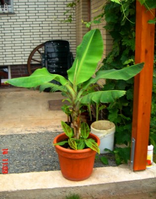 DSC01747.JPG
