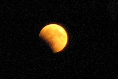 7821A.JPG