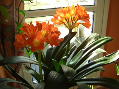 Osterbrunch  7.4.07 003.jpg