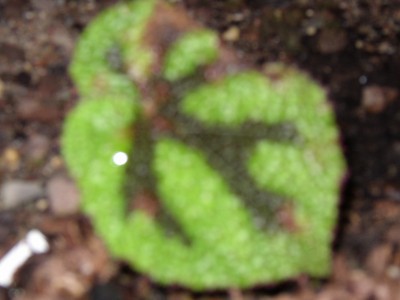 P1010144.JPG