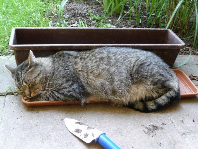 Bild 059 (Large).jpg