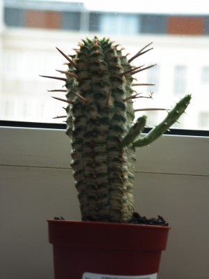 PICT0036.JPG