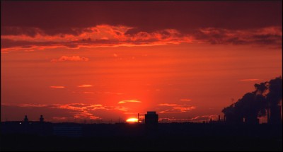 IMG_2201.jpg