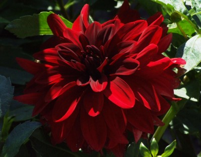 DSCF5643.JPG