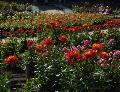 DSCF5632.JPG