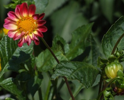 DSCF5630.JPG
