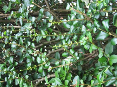 2008 08 20_0002.jpg