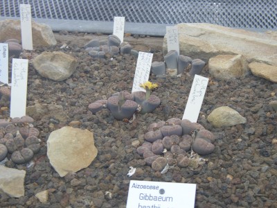 P1010148.JPG