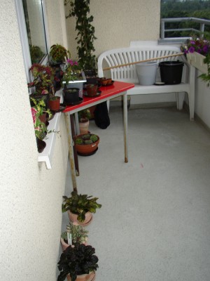 P1010167.JPG