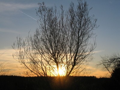sonne3.jpg