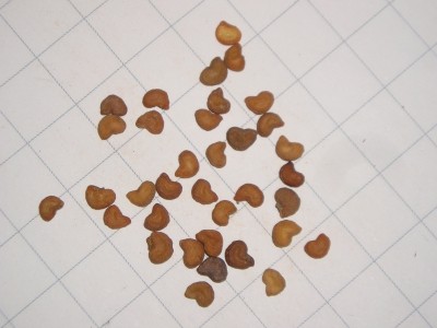P1010087.JPG