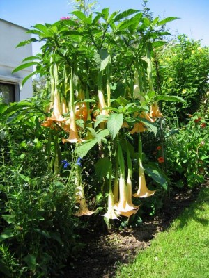 Größenänderung IMG_2506.JPG