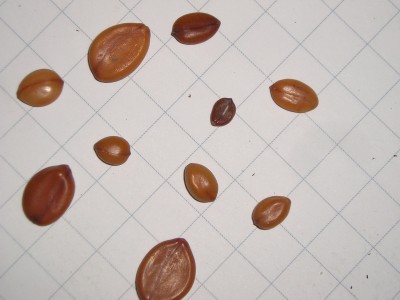 P1010084.JPG
