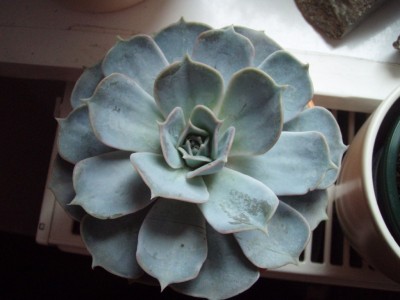 2008.08.22.JPG