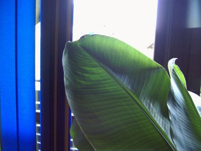 Bild 002.jpg
