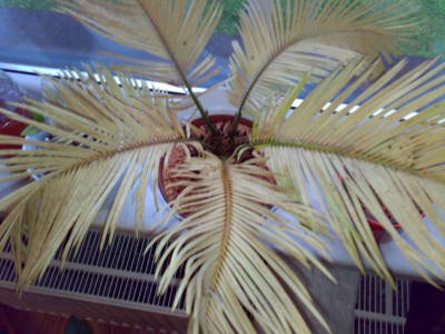 22082008764.jpg