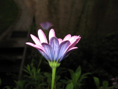 IMG_3577.JPG