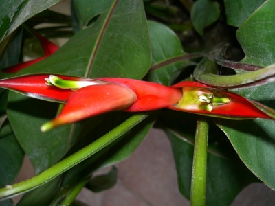 März 07 011 klein.jpg