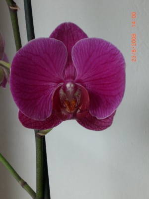 Fotos4 023.jpg