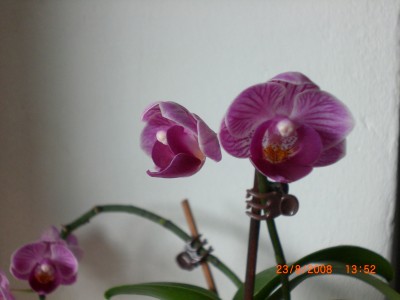 Fotos4 010.jpg