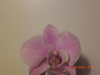 Fotos4 004.jpg