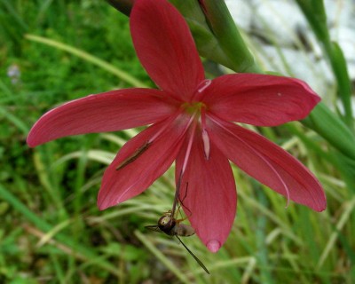 an der Tankstelle w.jpg