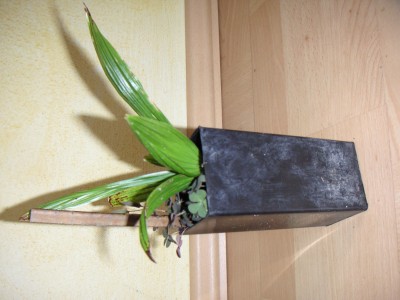 PICT0080.JPG