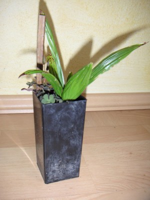 PICT0080.JPG