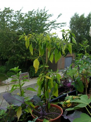DSCN1639.JPG