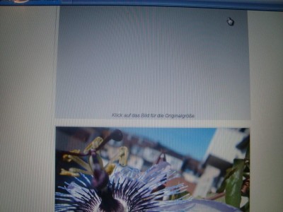 Bild nicht zu öffnen.JPG