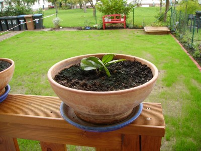 PICT0032.JPG