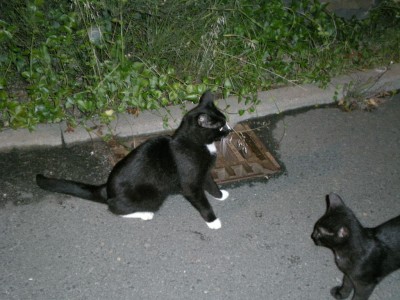 DSCN00990001.JPG