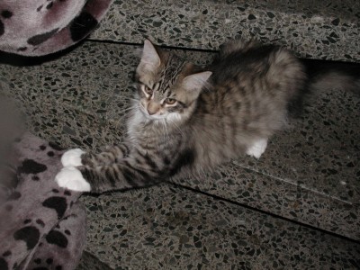 P1010079.JPG