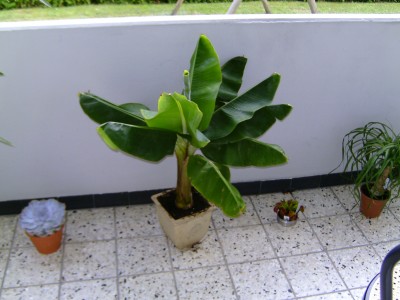 BILD0051.JPG