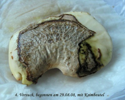 4. Versuch w.jpg