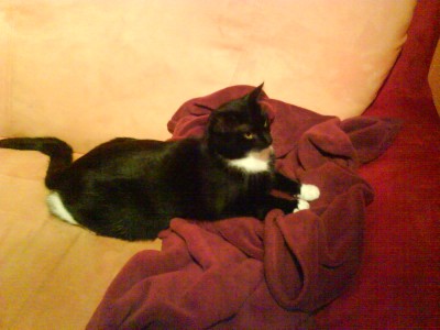 DSC00005.JPG