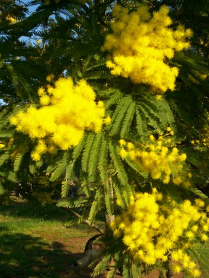 100_4132.jpg
