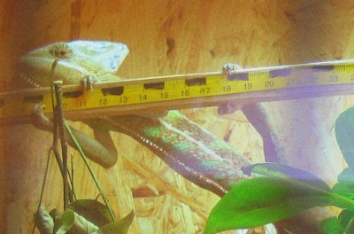 080828.JPG