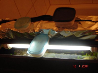 Aquarium 001.jpg