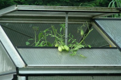 wollen auch mal Sonne w.jpg