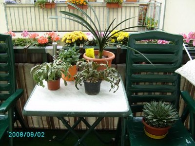 PICT0209.JPG
