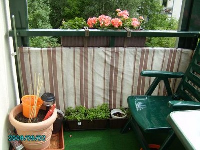 PICT0214.JPG