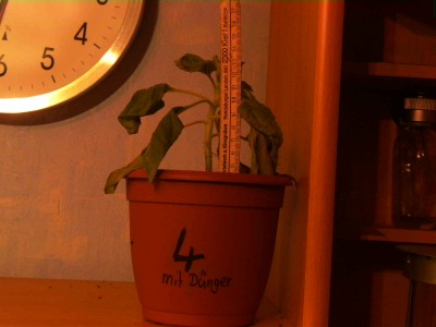 BILD0376.JPG