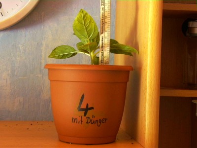 BILD0175.JPG