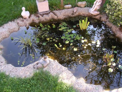 DSCN0717.JPG