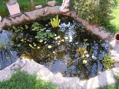 DSCN0716.JPG